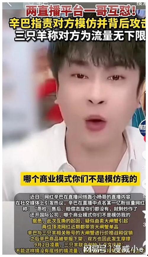 辛巴爆料沫沫的原视频,原视频内容深度解析